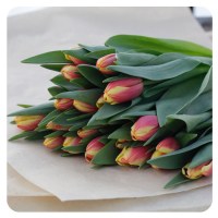 Срезанные тюльпаны